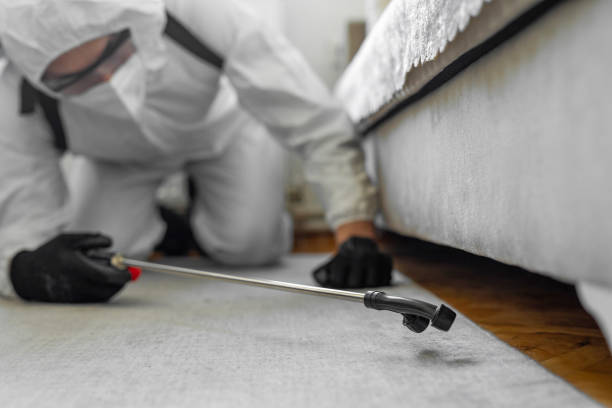 Professional Bed Bug Control technician working in Huntington, UT