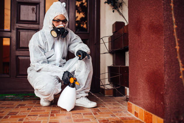 Reliable Bed Bug Control contractor in Huntington, UT by Nex Pest Control