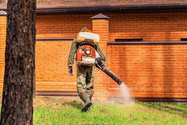 Trusted Bed Bug Control service in Huntington, UT - Nex Pest Control